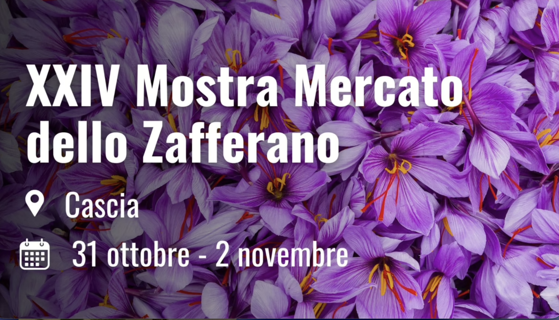 Poster mostra dello zafferano 2025